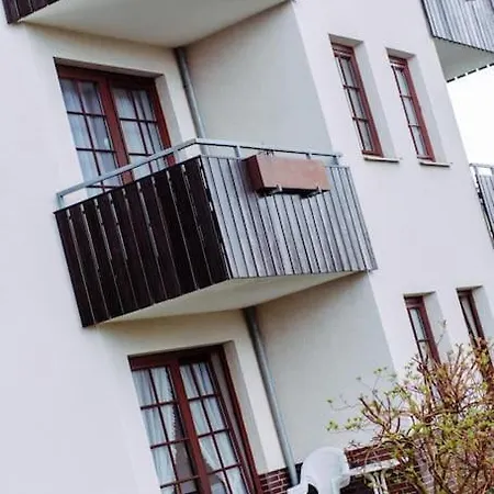 Harznest, Wlan Apartment *