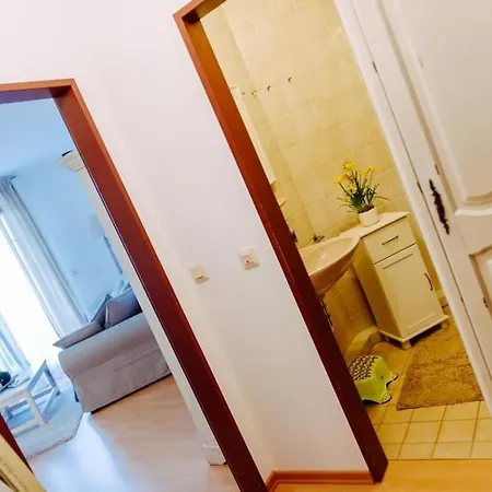 Harznest, Wlan Apartment *
